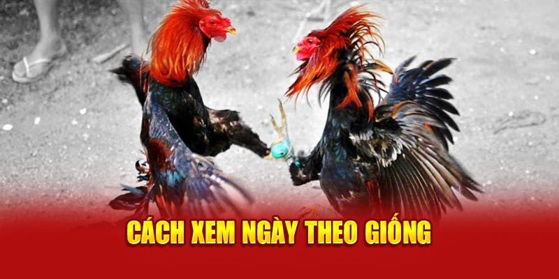 Cách xem ngày theo giống