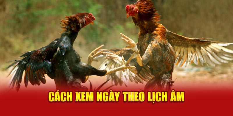 Coi ngày đá gà theo lịch âm