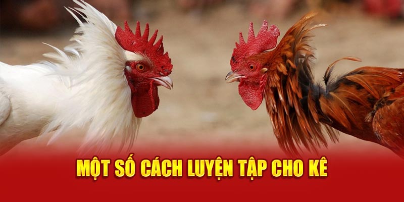 Một số cách luyện tập cho kê