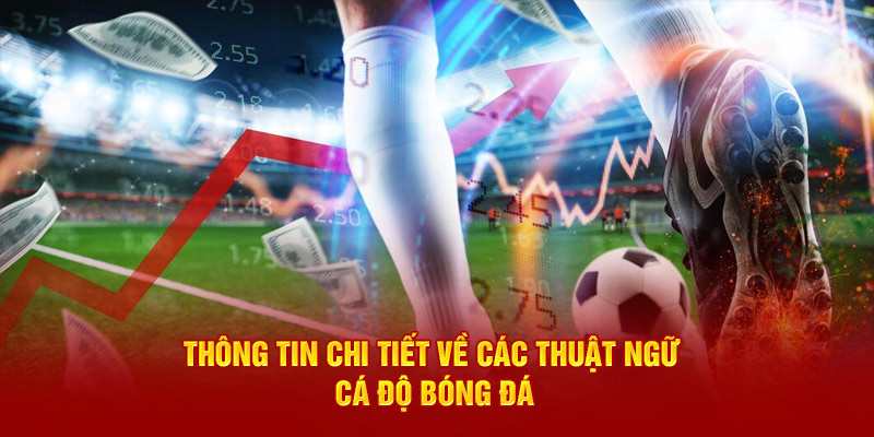 Thông tin chi tiết về các thuật ngữ cá độ bóng đá