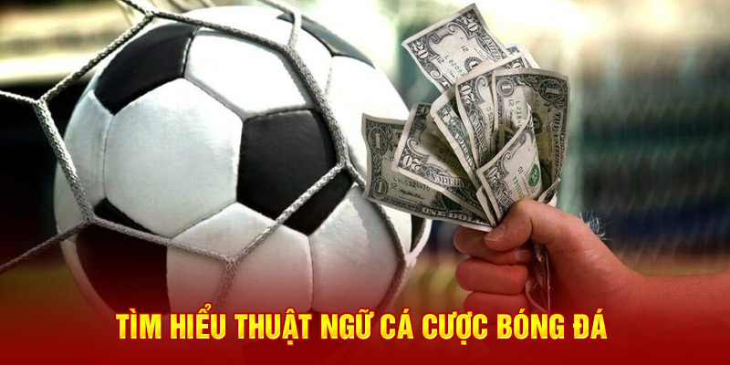 Tìm hiểu thuật ngữ cá cược bóng đá